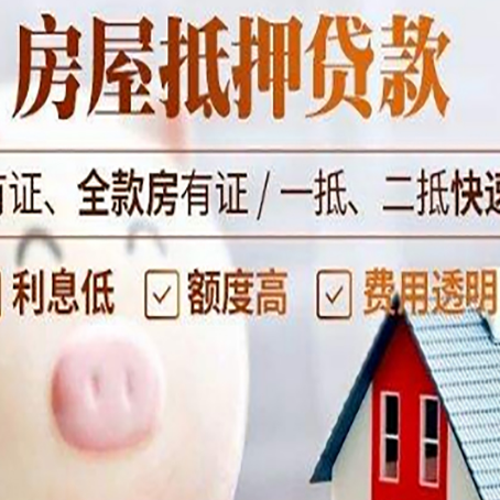 望谟贷款助贷公司新渝启服靠谱公司